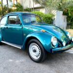 Seu Jair e o Fusca Série Ouro